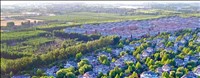 山东画报